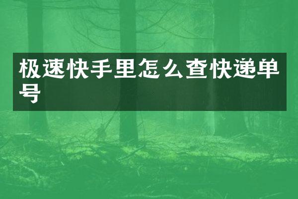 极速快手里怎么查快递单号