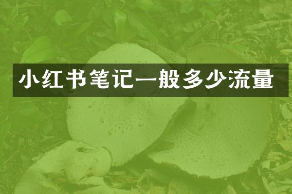 小红书笔记一般多少流量