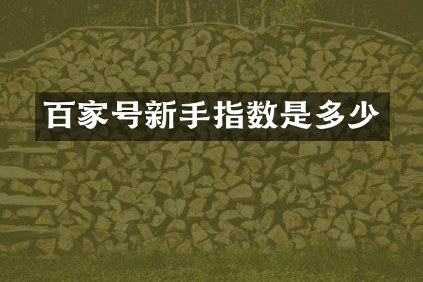百家号新手指数是多少