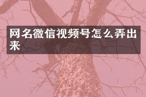 网名微信视频号怎么弄出来