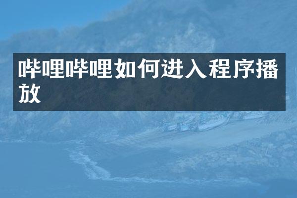 哔哩哔哩如何进入程序播放
