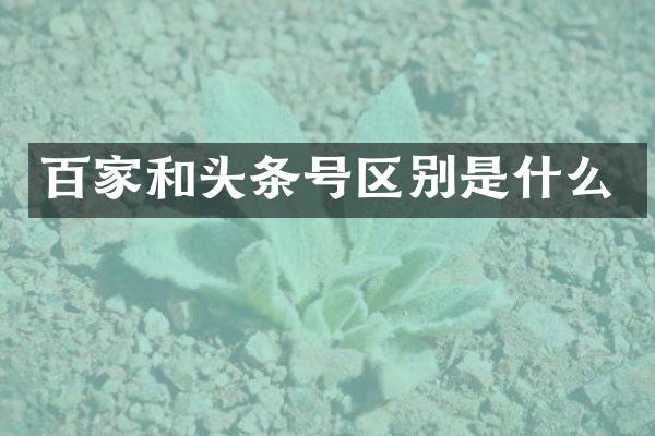 百家和头条号区别是什么