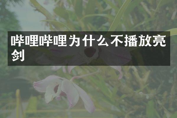 哔哩哔哩为什么不播放亮剑