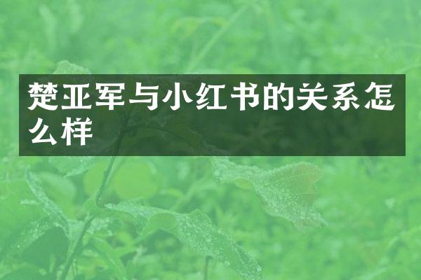 楚亚军与小红书的关系怎么样