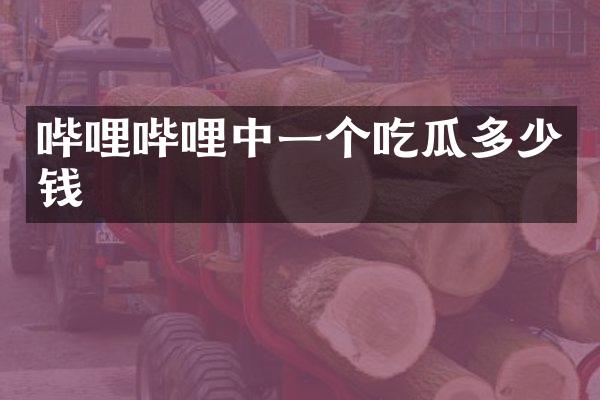 哔哩哔哩中一个吃瓜多少钱