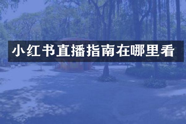 小红书直播指南在哪里看