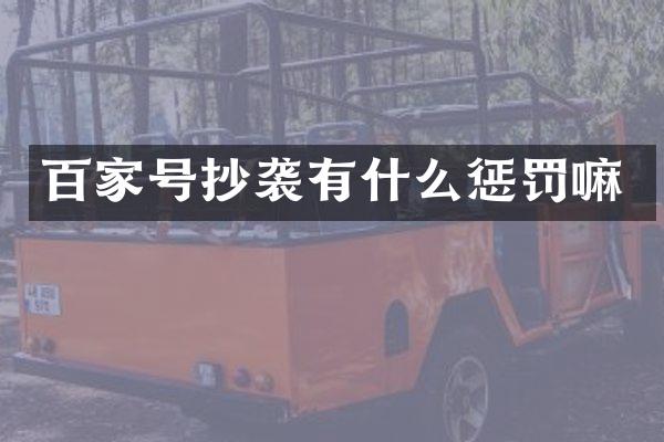 百家号抄袭有什么惩罚嘛