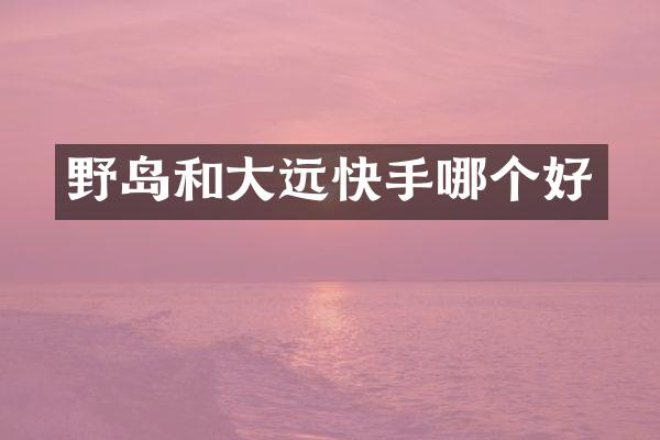 野岛和大远快手哪个好