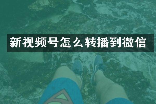 新视频号怎么转播到微信