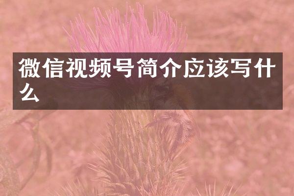 微信视频号简介应该写什么