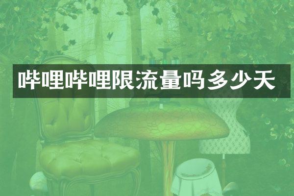 哔哩哔哩限流量吗多少天