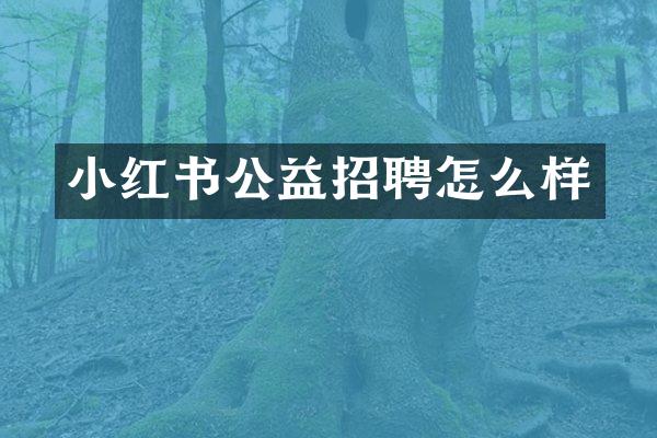 小红书公益招聘怎么样