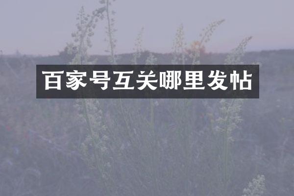 百家号互关哪里发帖