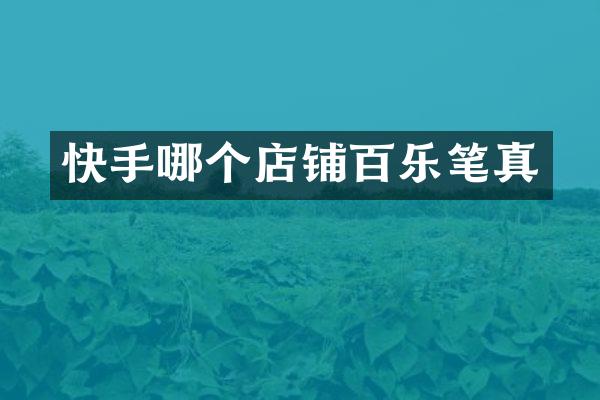 快手哪个店铺笔真