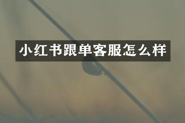 小红书跟单客服怎么样