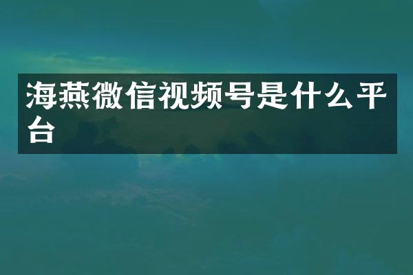 海燕微信视频号是什么平台