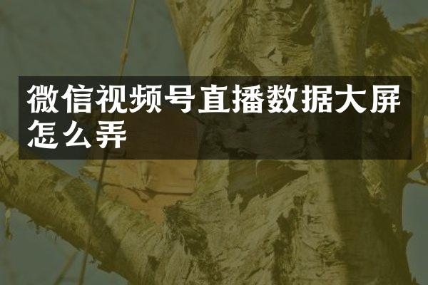 微信视频号直播数据大屏怎么弄