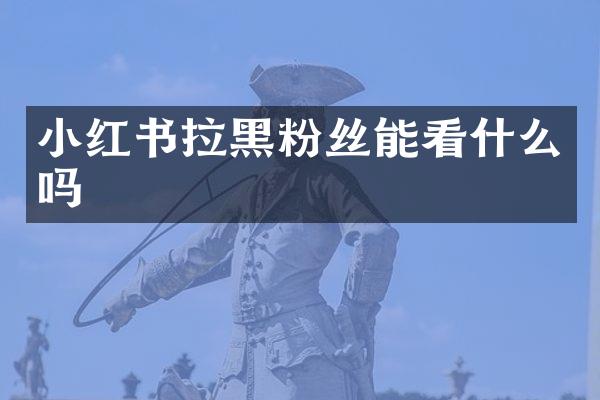 小红书拉黑粉丝能看什么吗