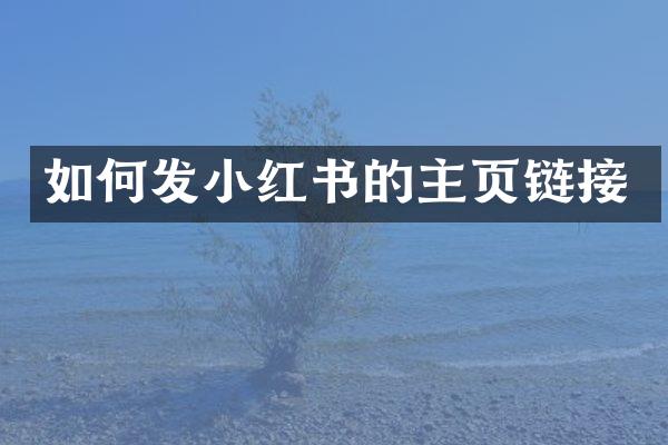 如何发小红书的主页链接