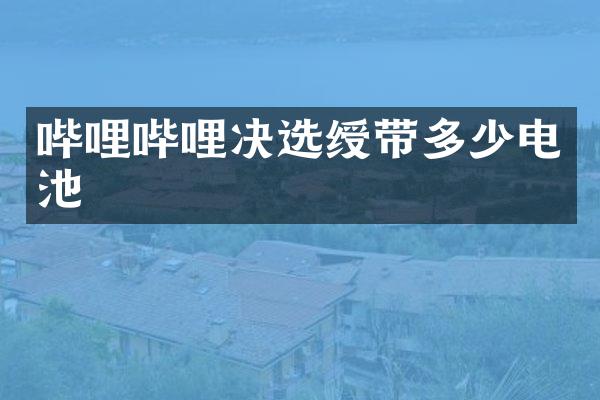 哔哩哔哩决选绶带多少电池