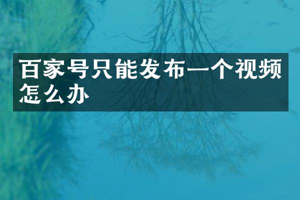 百家号只能发布一个视频怎么办
