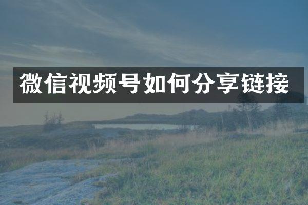 微信视频号如何分享链接