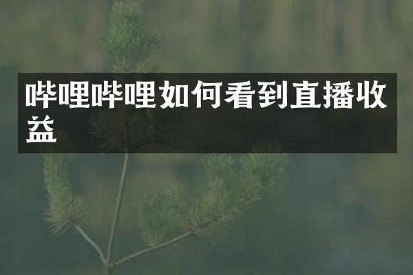 哔哩哔哩如何看到直播收益