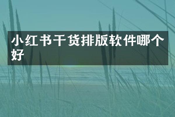 小红书干货排版软件哪个好