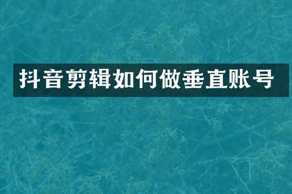 抖音剪辑如何做垂直账号