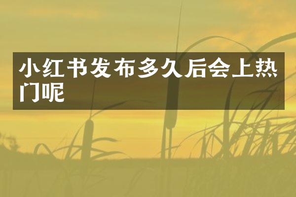 小红书发布多久后会上热门呢