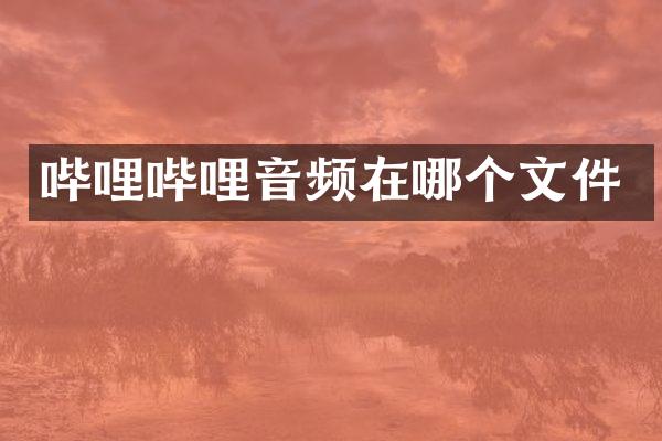 哔哩哔哩音频在哪个文件