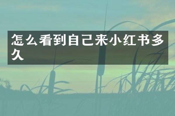 怎么看到自己来小红书多久