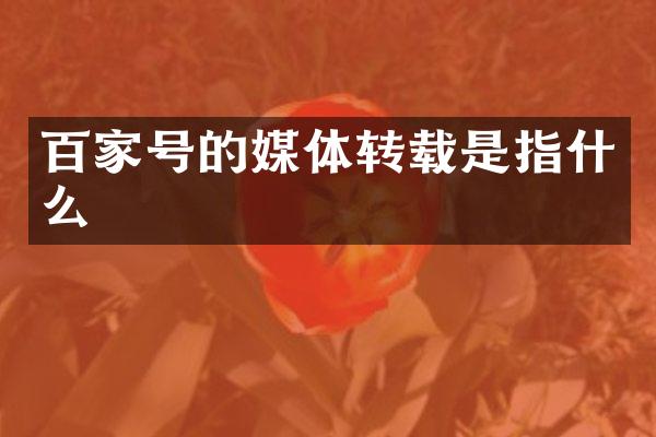 百家号的媒体转载是指什么