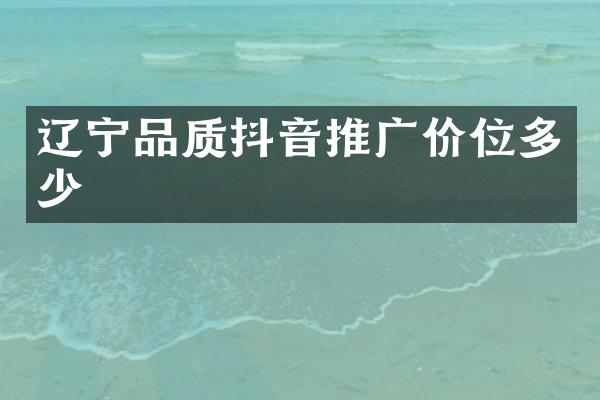 辽宁品质抖音推广价位多少