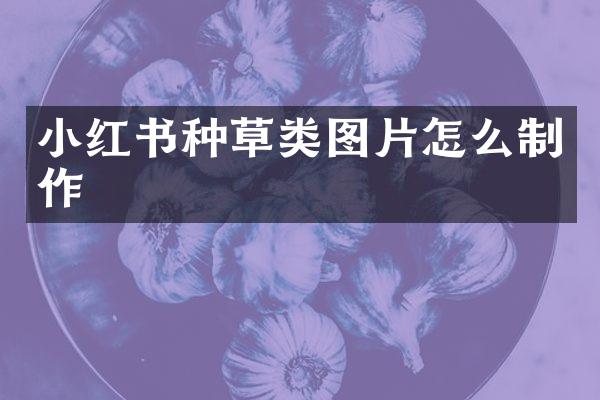 小红书种草类图片怎么制作