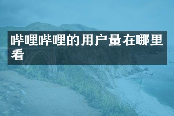 哔哩哔哩的用户量在哪里看