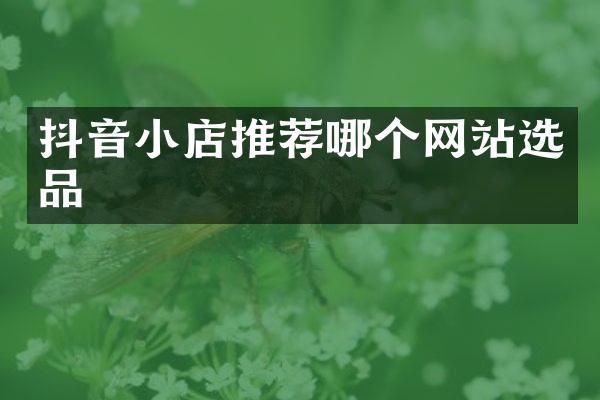 抖音小店推荐哪个网站选品