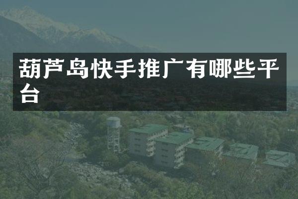 葫芦岛快手推广有哪些平台