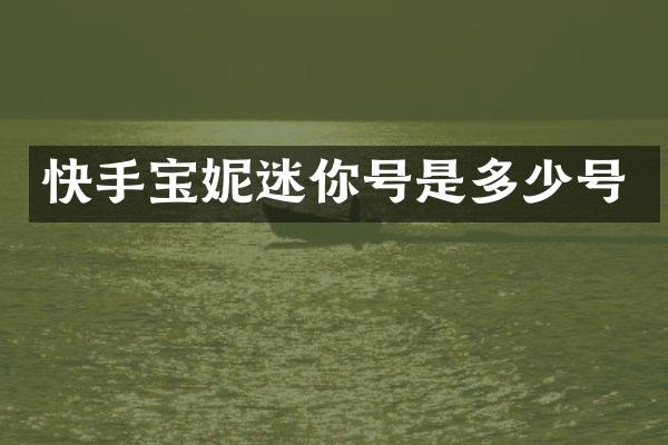 快手宝妮迷你号是多少号