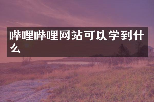 哔哩哔哩网站可以学到什么