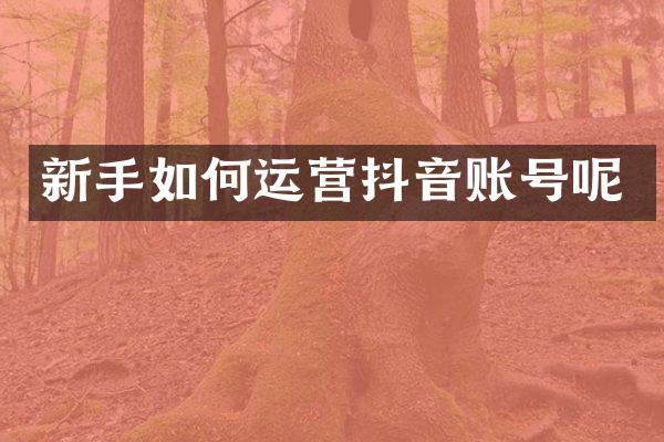 新手如何运营抖音账号呢