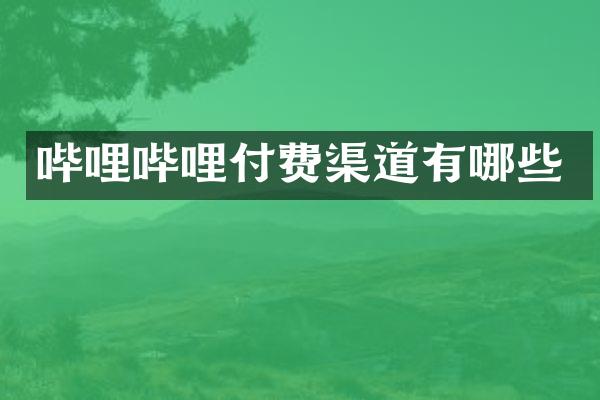 哔哩哔哩付费渠道有哪些