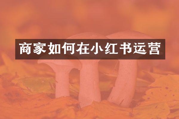 商家如何在小红书运营
