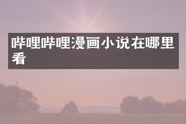 哔哩哔哩漫画小说在哪里看