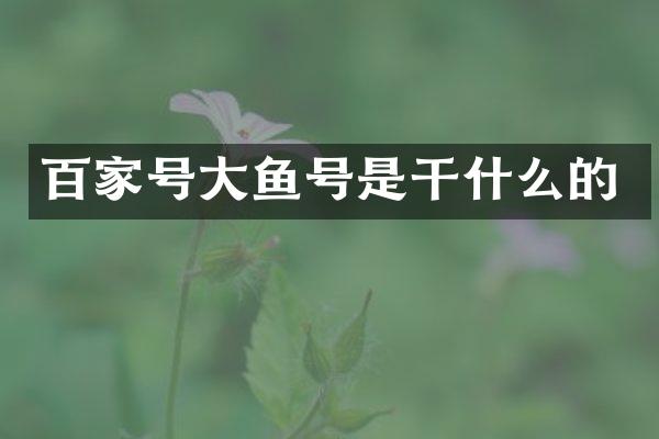 百家号大鱼号是干什么的