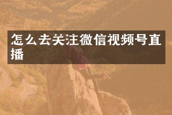 怎么去关注微信视频号直播