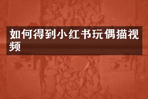 如何得到小红书玩偶猫视频