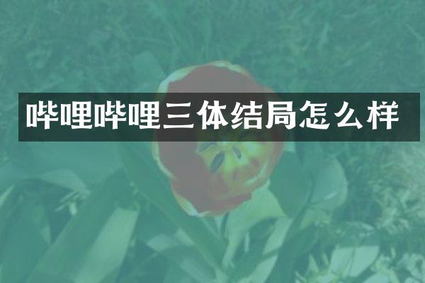 哔哩哔哩三体结局怎么样