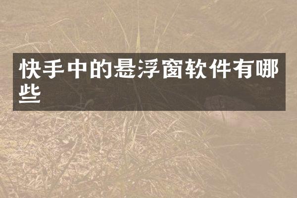 快手中的悬浮窗软件有哪些