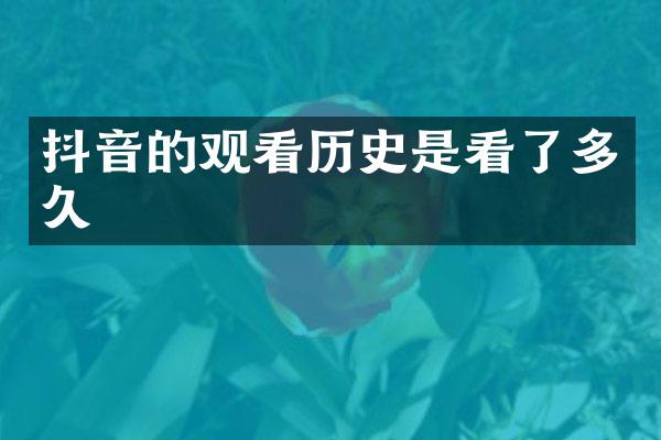 抖音的观看历史是看了多久